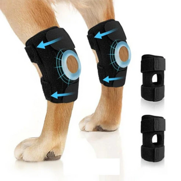 Orthopedic Dog Knee Brace for Joint Support